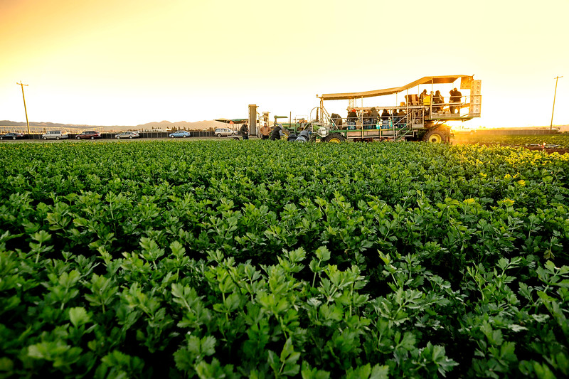 New OSHA rule would protect workers from hazardous heat