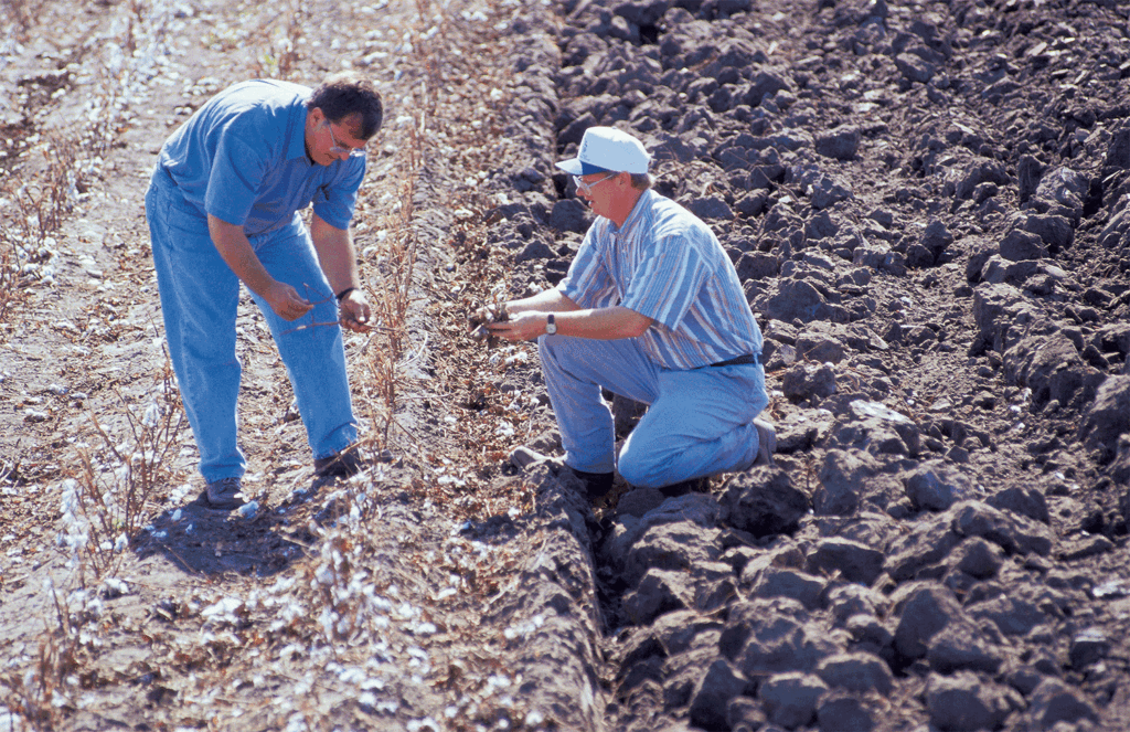no till