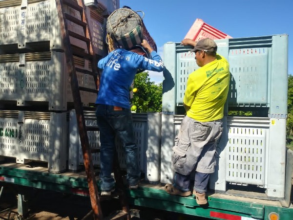 2025 Ag Labor Survey shows grower worries over AEWR, labor rules