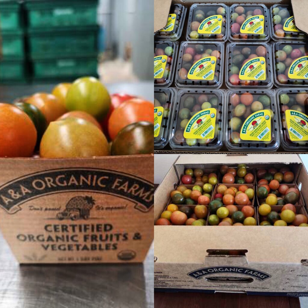A&A Organic Farms debuting expanded tomato line