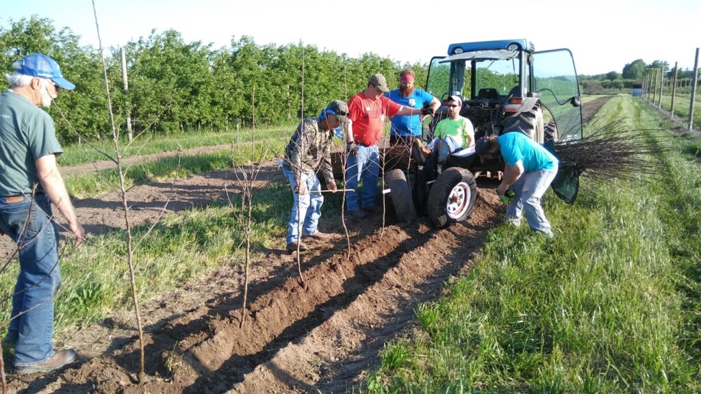 How an apple grower and Extension specialist joined to pioneer Midwestern IPM