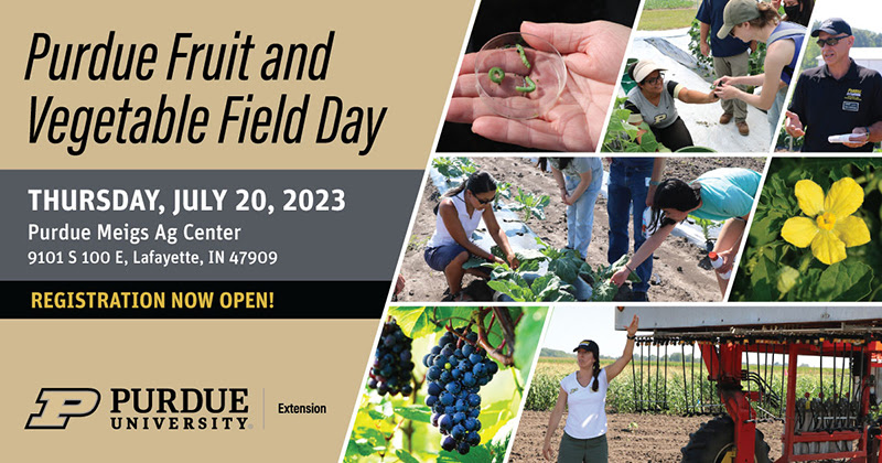 Purdue Extension field day offers growers networking, educational sessions