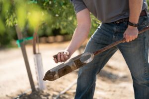 National study offers free soil sample analysis for farmers