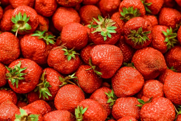 Trade petitions filed over Mexican winter strawberry imports