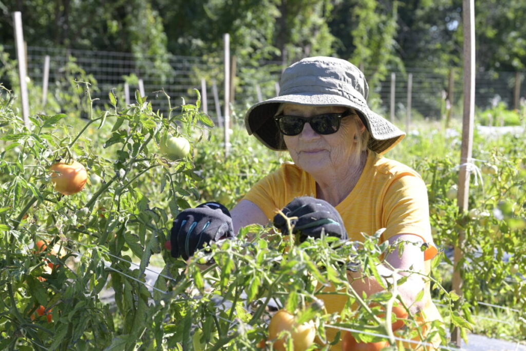 Trailside Farm weathers challenges, reaps rewards in first season