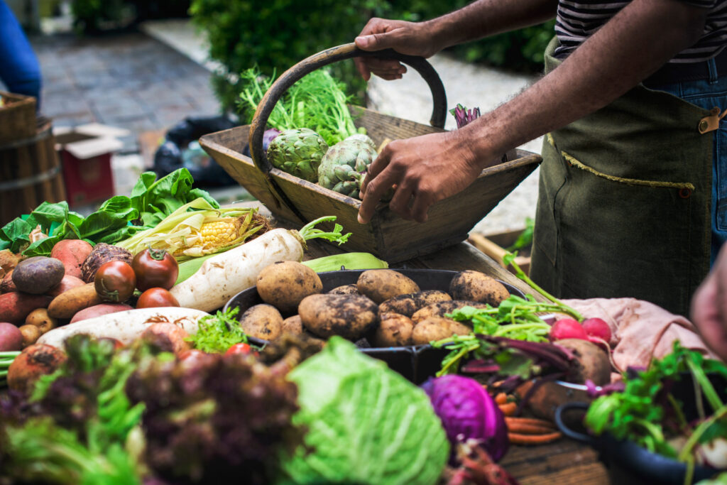 2025 USDA vegetable crop report: Record yields, lower prices and mixed markets