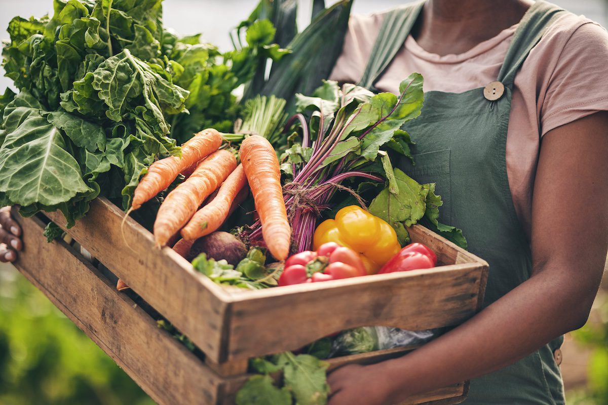 Farmer holding crate full of fresh vegetables.