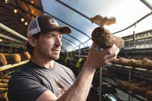 Ellijay Mushrooms: Growing community in North Georgia’s hill country