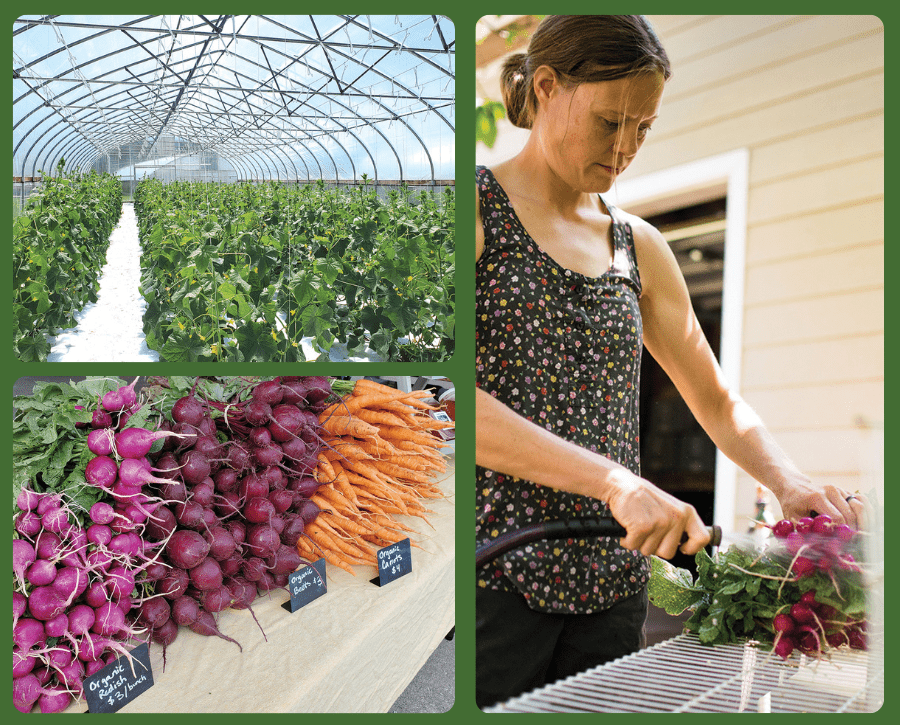 How Salad Days Farm thrives with organic farming, direct sales