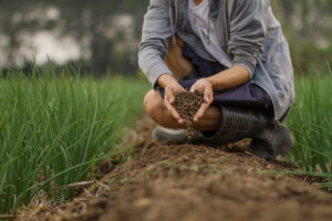 Watch: Indiana regenerative farmer Rick Clark shares lessons in video interview