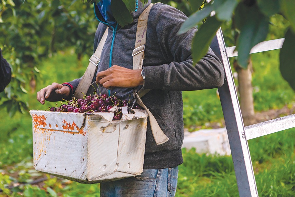 NCAE-led coalition files Supreme Court brief in H-2A labor case