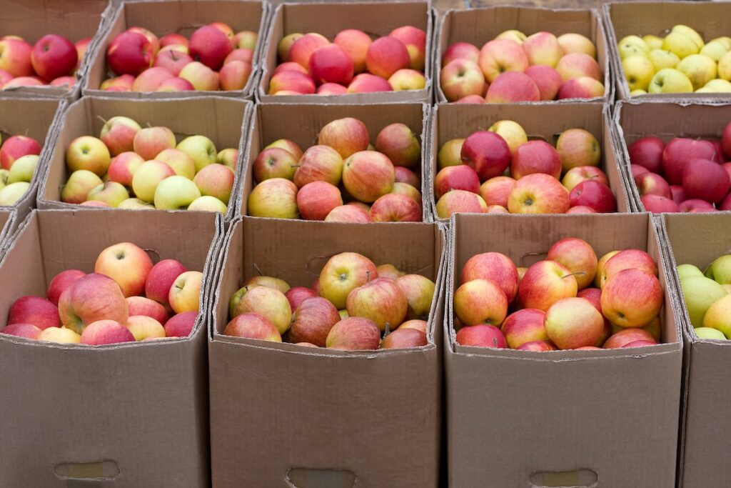 U.S. apple exports rise as 2026/27 production forecast declines