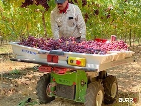 Great Lakes Tek Flex brings robotics and AI to specialty crops