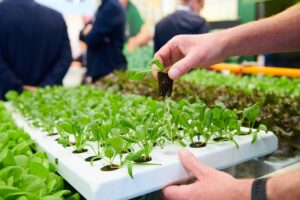 GreenTech North America conference to address AI, vertical farming