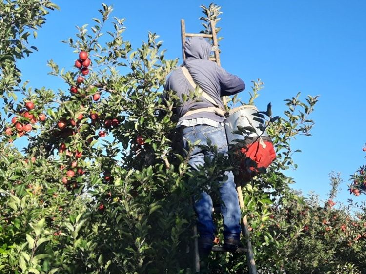 USDA announces $8 billion in Harvest Fuel Relief payments for farmers