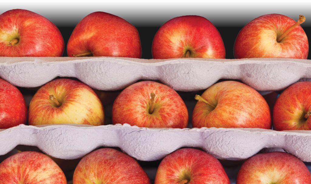 Fruit growers to benefit from $86.6 million in USDA grants