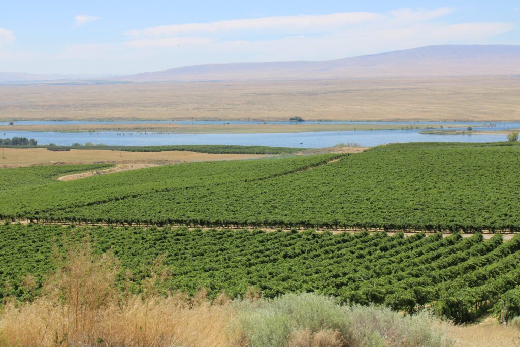 Washington opens 2027 funding opportunity for specialty crops